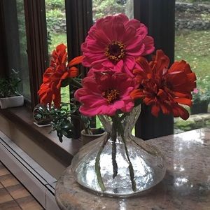 Meet your Posher, Rita